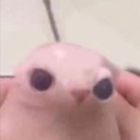 mamamiya-CloneB icon