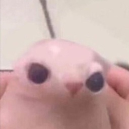 mamamiya-CloneB icon