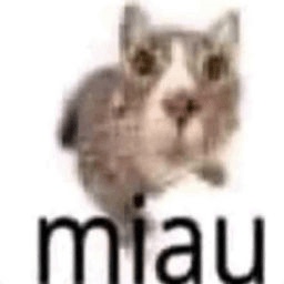 maow-miau icon
