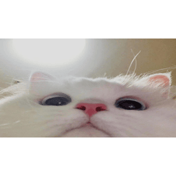 mattipoo-REPOussy icon