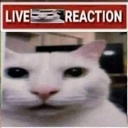 mborsh-Live_Reaction icon