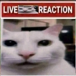 mborsh-Live_Reaction icon