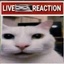 mborsh-Live_Reaction-1.0.0 icon