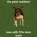 mcgram1-Another_Grass_Plane icon