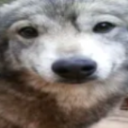 me_moi-moipacksoundeffects icon