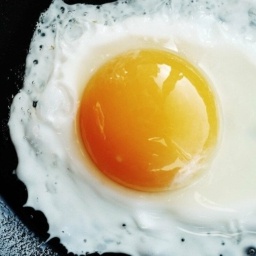 meemo-meemo_pack icon