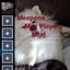 meepen-16_Player_Mod-1.2.1 icon