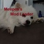 meepen-Meepens_Mod_Loader-0.1.1 icon