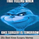 melonkgur-knee_surgery_simulator icon