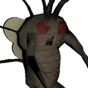 meowowowowo-CoolBugFactS icon