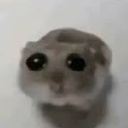 meuskas-meuskaspack icon