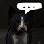 mezdj-Silent_Cats-1.0.0 icon