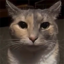 mista_mcdonald-VoidTouchedMusicPack icon