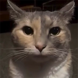 mista_mcdonald-VoidTouchedMusicPack icon