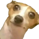 mizuuuuuuu-Brownieeeeee icon