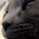 modpackthing-Retard_Company_2 icon