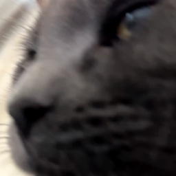 modpackthing-Retard_Company_2 icon