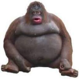 monkeman-Nerd_Company icon