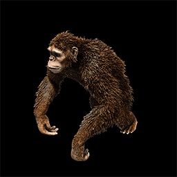 monker-EPIC_MODPACK icon