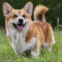 movespeed-Modspeed icon