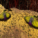 mr_hat-OutsideGunkfish icon