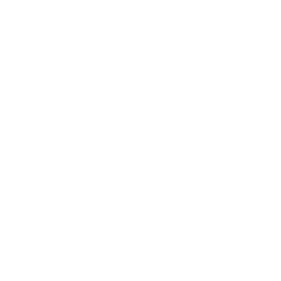 namjainapananan-UnretroifiedStyleIndicator icon