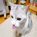 napkin-NapkinModpack icon