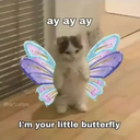 natalcicka-AyAyAy icon