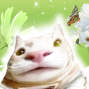 neekolas-i_heart_cat_videos icon
