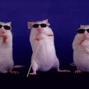 nefeleteam-NefelePack icon