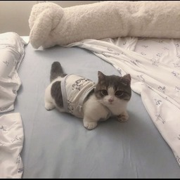 neoutin-gabas_mod icon