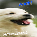 netpano-NetpanoHats icon