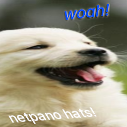 netpano-NetpanoHats icon