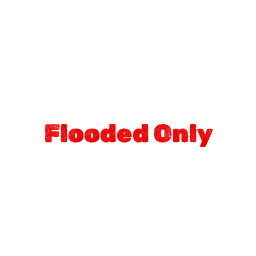 nicofloflolive-FloodedOnly icon