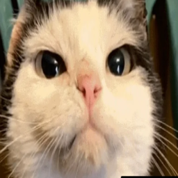 nitro-ImprezaModpackRevamp icon