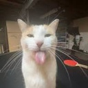 novafox63-goobers_modpack icon