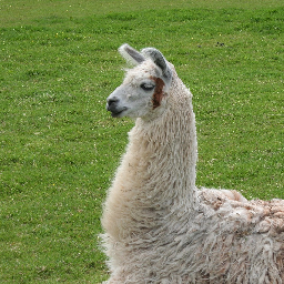 nwesterhausen-LlamaForgeCollective_modpack icon