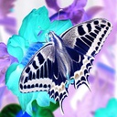 odds-Negativbild icon