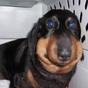 ogaboga-Nico_Nico_Ni icon