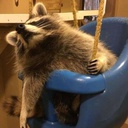 ohnodazi-item_sounds icon