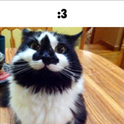 om1crn-MusicAaaawubadugh icon