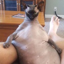 omaygad-unapoyacomounposter icon