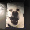 p10radzio2008s3-Hazel_Posters-1.0.0 icon