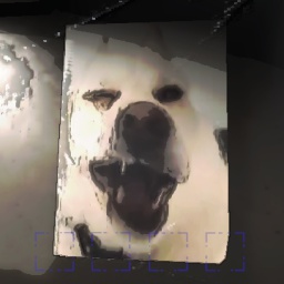 p10radzio2008s3-Hazel_Posters icon