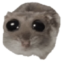 palikkateam-repomiehen_palikat icon