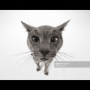 pellkowalski-Funny_HUD_Text_Revamped icon