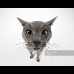 pellkowalski-Funny_HUD_Text_Revamped icon