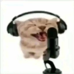 peyzzz-Bangers_Boombox icon