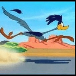 pineapple3333-Roadrunner_looney_Tunes_Clips icon