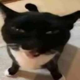 pipipi-DumpsterModpack icon